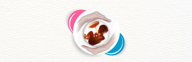 Celebrating World Embryologist Day: The Backbone of Assisted Reproductive Technology at Vardhan Fertility Centre