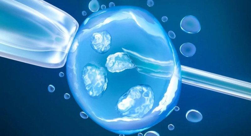 Egg Freezing in Nepal: Complete Guide to Fertility Preservation