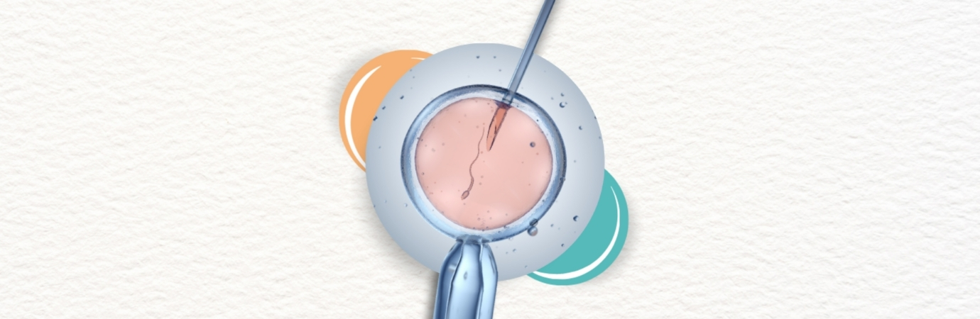 The Science Behind IVF: How Does It Really Work?