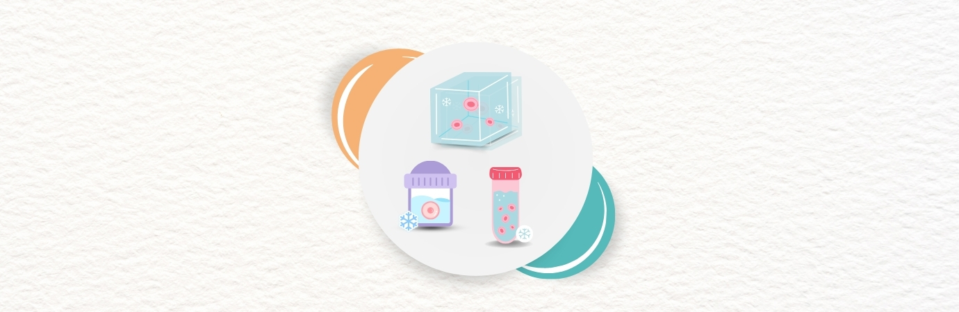 Egg Freezing/ Oocyte Preservation